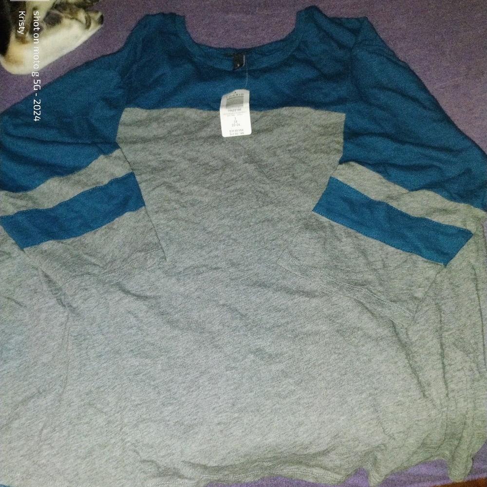 Torrid Teal and Gray Colorblock Long Sleeve Top